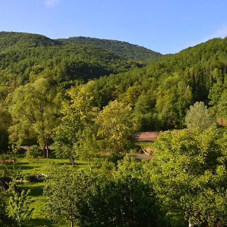 любов * Solochin