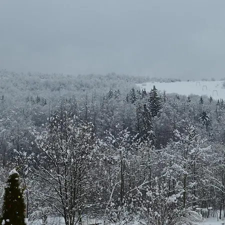 Apartment любов *