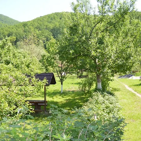 любов * Solochyn